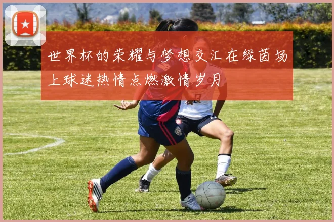 世界杯的荣耀与梦想交汇在绿茵场上球迷热情点燃激情岁月