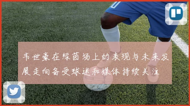 韦世豪在绿茵场上的表现与未来发展走向备受球迷和媒体持续关注