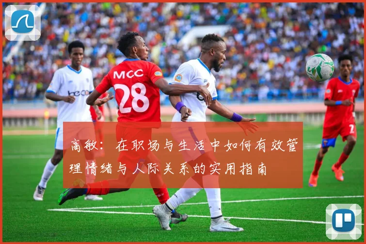 高敏：在职场与生活中如何有效管理情绪与人际关系的实用指南