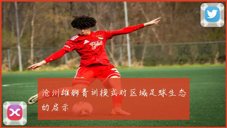 沧州雄狮青训模式对区域足球生态的启示